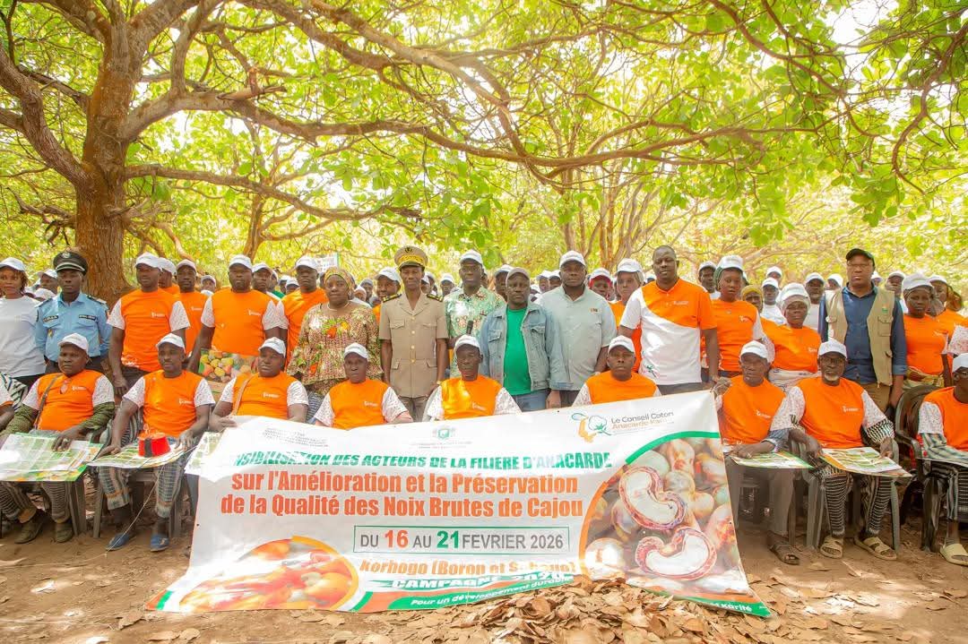 Campagne Anacarde 2026 : Le Conseil Coton Anacarde Karité sensibilise pour garantir la qualité des noix brutes de cajou et promouvoir les produits dérivés