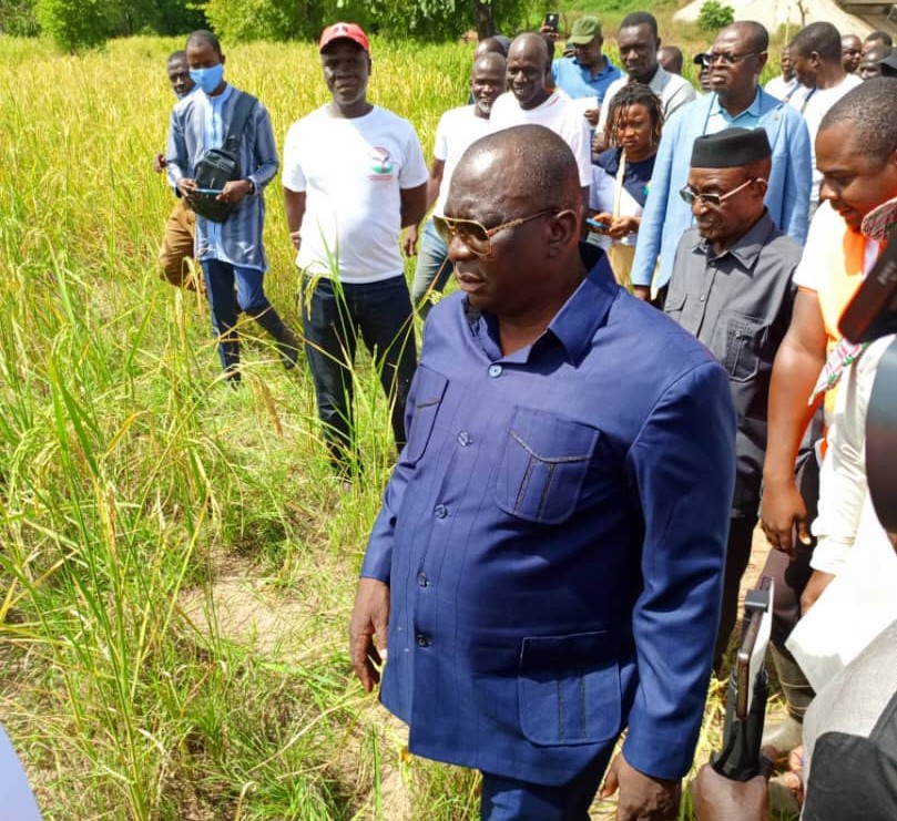 Transformation agricole en Côte d'Ivoire : Le ministre ivoirien de l'Agriculture et du Développement rural, Kobenan Kouassi Adjoumani en visite sur le site du PNIA 2 dans la région du Tchologo