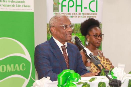 Transformation de l’économie agricole : La livraison des graines d’hévéa a démarré pour la campagne de commercialisation 2024