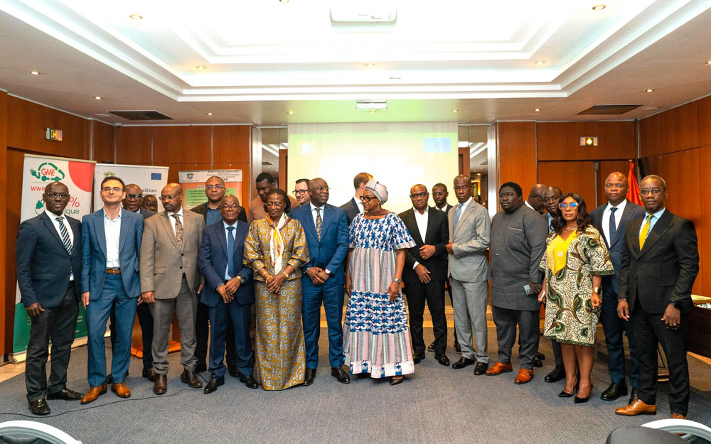 Transports/Transition énergétique durable : le gouvernement ivoirien vise, d'ici à 2030, à atteindre 10 % de véhicules électriques dans le parc automobile de l'État