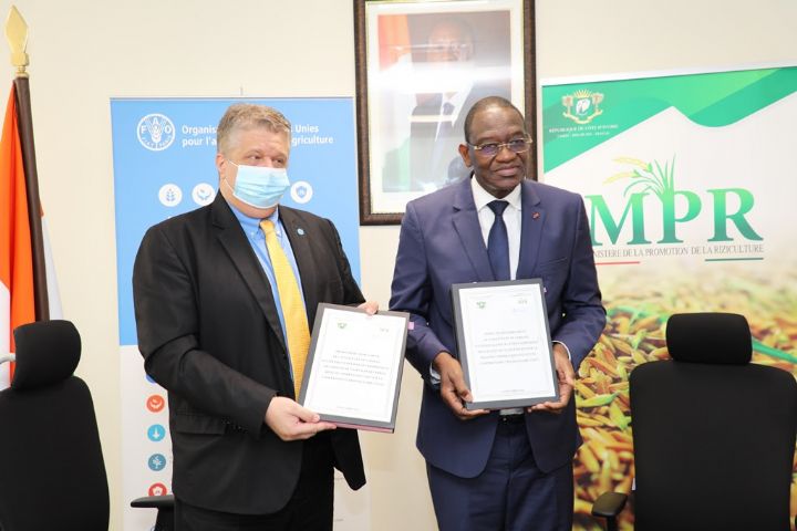 Accord entre le gouvernement ivoirien et la FAO pour développer les chaînes de valeur du riz
