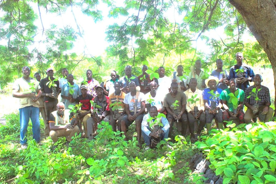 Reconstitution du couvert forestier ivoirien: une filiale coton du groupe Olam Agri, SECO initie une opération de reboisement de 43.000 arbres