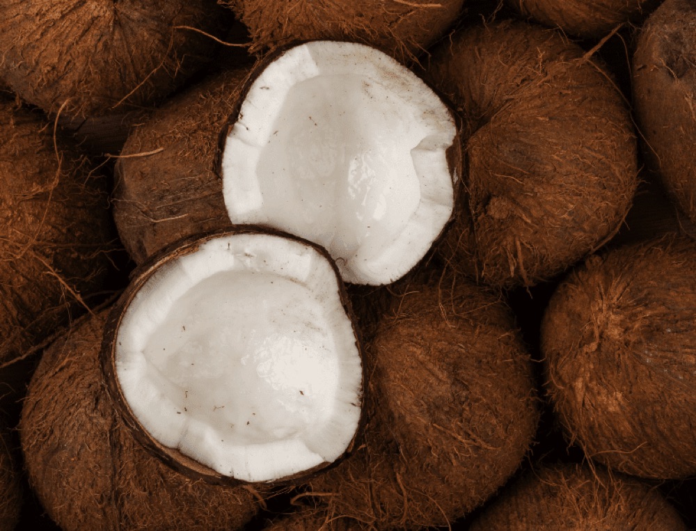 Filière de la noix de coco : la Côte d’Ivoire adhère à la Communauté Internationale de la Noix de Coco