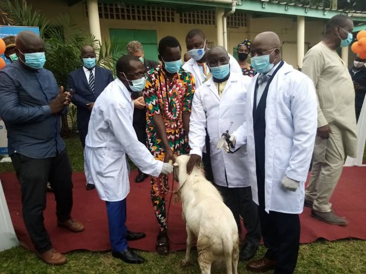 Maladies animales: Une campagne de vaccination lancée, hier