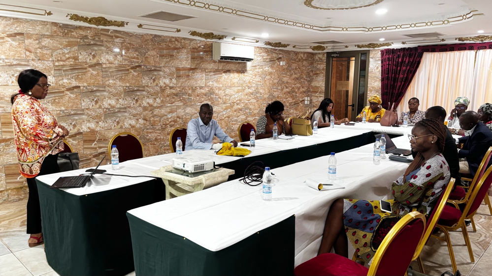 Violences basées sur le genre : les lois, textes et engagements de l’État présentés aux acteurs pour faciliter l’obtention de financements