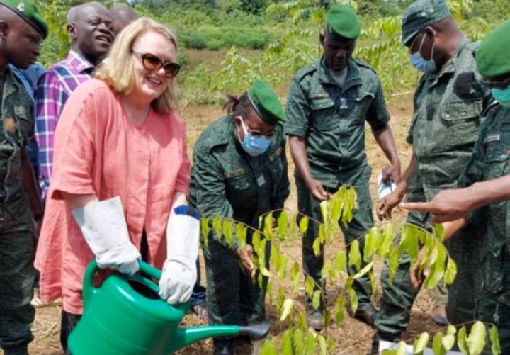 Reconstitution des forêts, lutte contre les changements climatiques: La Côte d’Ivoire citée comme un cas d’école