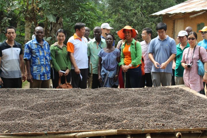 Promotion agricole/ AVA fait découvrir les plantations ivoiriennes aux diplomates étrangers