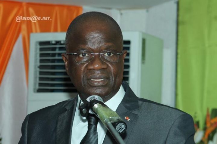 Nouvelle Constitution ivoirienne : dissensions et polémique au sein du RHDP