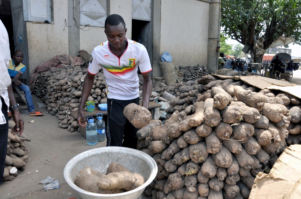 Zones frontalières Côte d’Ivoire-Burkina Faso : Des actions sociales pour lutter contre l’extrémisme