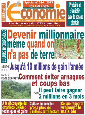 Le Journal De L’Economie N° 14