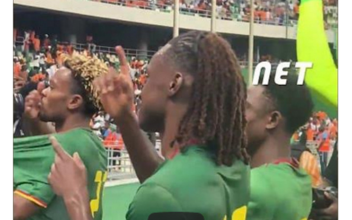 Célébration des supporters et des joueurs camerounais après leur victoire face à la Côte d'Ivoire