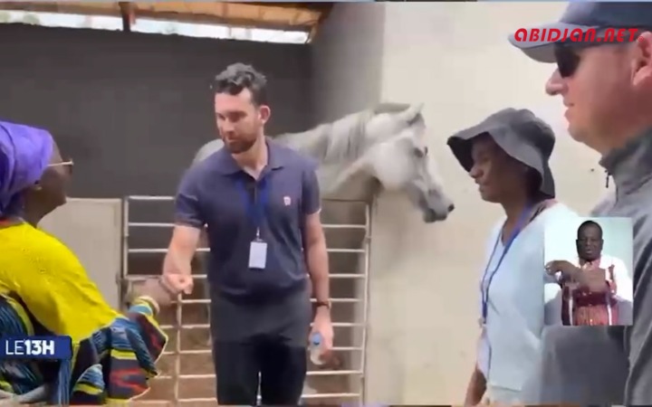 Sport équestre : l’Afrique en selle en hommage à Jacqueline Ouégnin
