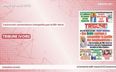 Titrologue du jeudi 06 août 2026/ Bingerville, 2 présumés cambrioleurs interpellés par la BRI-Nord.