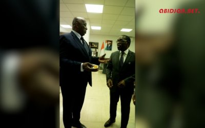 Côte d’Ivoire : L’ambassadeur Aly Touré reçu en audience par le président du CESEC.